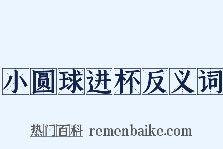 小圆球进杯反义词是什么意思的图片